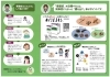 「蓄膿症かな？と感じたら…ホノミ漢方「ホノミビスキン」で体にやさしい鼻ケアを🌿」