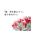「春、何を着よう？」と迷うあなたへ。自分を好きになる「お買い物の練習」はじめませんか？【村上市/顔タイプ診断®/パーソナルカラー診断/骨格診断/メイクレッスン】