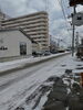 「2月9日（日曜）本日も元気にオープンです✨️🍙 【福島と青森の美味しい食材を使ったおにぎり屋にこまる】」