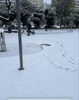 雪景色の中、愛犬とゆったり */}「雪の日の準備★大きなホワイトボードで映画DAY計画　　（Openまで51日）」