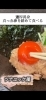 とろーり濃厚卵黄を絡めて「夜の新名物！青森県産真っ赤卵のツナユッケ風はじめました」