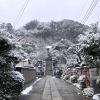 ⛩️ほんのり雪化粧part2⛩️