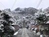 いつもと違う風景で、とても幻想的です「⛩️ほんのり雪化粧part2⛩️」