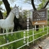 入口の馬の置物が目印です♪ 犬山乗馬クラブへお越しの際は探してみてください