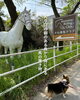 目印の馬の置物「入口の馬の置物が目印です♪ 犬山乗馬クラブへお越しの際は探してみてください」