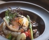 「ハンバーグカレーと魚のソテーのカレー」