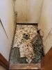 「千葉市中央区の戸建てにお住まいのお客様宅にてトイレのリフォーム工事が着工しました。


【千葉市緑区おゆみ野・市原市ちはら台を中心に、リフォーム工事を行っております！お風呂、キッチン、トイレなどのリフォームや壁紙や内装、外装工事お気軽にお問い合わせください】」
