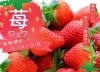 「【完全予約制】苺フェア開催！ご来場でいちご2パックプレゼント」