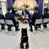 【神奈川区六角橋】ペット同伴葬儀　愛犬・愛猫と一緒にお別れできます
