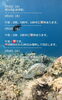 「🏝️ヤシの木接骨院の直近の空き枠🏝️」