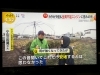 傘をさしての収録となりました☂️「☆カラフル野菜の小山農園『イット！』無事にオンエア📺☆」