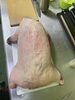 まるまるなアナグマ「脂たっぷりの希少ジビエ・アナグマのお肉をご用意しております」
