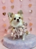 ななちゃん「ピンクバレンタイン💕」