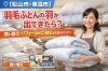 「羽毛ふとんから羽毛が出てきたら・・・松山市東温市で買い換え、リフォーム相談ならこもだへ！」