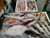 令和8年2月14日 店内「📣本日のお魚情報🐟」