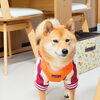 うめちゃん「今日のお友達」