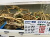 「【品質の証🟢緑タグ🦀大善蟹】 京丹後市網野町・浅茂川業港から「大善がに」入荷しました🦀✨」