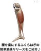 辛い腰痛を和らげるふくらはぎケア「腰痛持ちさんにおすすめ ふくらはぎセルフ筋膜リリース動画のご紹介」