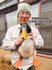 合鴨農法米をつくっている茨城の農家さん「2月17日より営業再開します！」