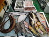 令和8年2月15日「📣本日のお魚情報🐟」