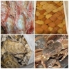 「【魚も酒も自ら厳選する瑞江の小料理屋】」