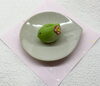 春告鳥(うぐいす)季節の上生菓子「2/16(月) 定休日です」