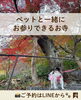 「「ペットと一緒に行ける場所ないかな？」と思ったら｜柏原市・観音寺へ🐾」