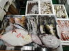 令和8年2月16日 店内「📣本日のお魚情報🐟」
