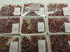 「兵庫県産ボイルほたるいか＆京都府産真アジ入荷しました！」