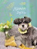 来店からフォトブースのベッドへgo!「お客様のご紹介🐶[大分市高崎/貸切トリミング]」