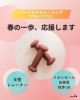 「春の一歩、応援します💪」