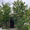 "雑木の庭"のお手入れ🌿西多摩（青梅・羽村・福生・あきる野・西多摩郡・八王子）でお庭造りは『庭や植太』へご相談ください