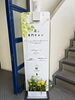 黄色い水仙が可愛いと評判です😉「黄色の水仙が目印です！明石駅からのアクセスご案内」
