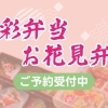 花見の季節到来！春限定「春彩弁当・お花見弁当」ご予約受付中🌸