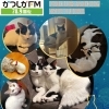 【2/20(金)放送分のリクエスト受付中♬】かつしかFM13時～90分生放送『YOUR SONG MY LIFE』武田恵瑠々のQUEEN曜日♪23時半～再放送📻️えるる家のにゃんずだよ🐱！リクエスト待ってまーす♪