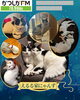 今度の日曜日2月22日は猫の日だよね～！ひと足早く猫の日気分のYOUR SONG MY LIFE♪「【2/20(金)放送分のリクエスト受付中♬】かつしかFM13時～90分生放送『YOUR SONG MY LIFE』武田恵瑠々のQUEEN曜日♪23時半～再放送📻️えるる家のにゃんずだよ🐱！リクエスト待ってまーす♪」