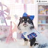 「むすびちゃん♡」