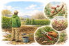 庭仕事「🌱 2月の庭仕事【全6回】第6回」