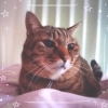 不眠・頭痛の原因は首こり⁈(;´Д`)何とかしたい‼出雲の整体ﾅﾗ(*^ーﾟ)b