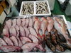 令和8年2月21日店内「📣本日のお魚情報🐟」