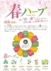 「春ハーブでゆらぎやすい季節をやさしくサポート」