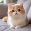 「🐱 猫のゴロゴロ音は、なぜ癒やされるの？✨」