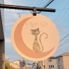 今日はにゃんにゃんにゃんの日🐱