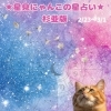 🌟 杉並区版☆12星座占い 🌟まいぷれ☆星見にゃんこ、2/23〜3/1