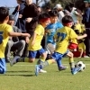 第43回鹿児島県幼児サッカーフェスティバル⚽️