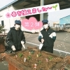 第２弾⭐️春を植えました🌼咲く日が楽しみ