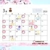 【2026年3月】診療スケジュール＆SEA AREAイベントカレンダーのお知らせ