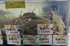 「大きめの松葉蟹🦀入荷してきました❗️」