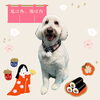 「Dog salon mofu mofu　余市町」