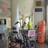 🚲✨ 試乗できます✨🚲